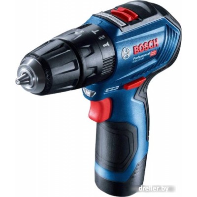 Bosch GSB 12V-30 Professional 06019G9100 (с 2-мя АКБ, кейс) Bosch GSB 12V-30 Professional 06019G9100 (с 2-мя АКБ, кейс)