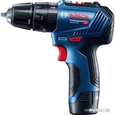 Bosch GSB 12V-30 Professional 06019G9100 (с 2-мя АКБ, кейс) Bosch GSB 12V-30 Professional 06019G9100 (с 2-мя АКБ, кейс)