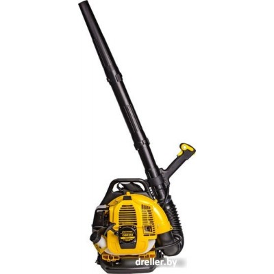 Champion GBR333 Champion GBR333