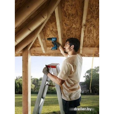 Bosch GSB 185-LI Professional 06019K3100 (с 2-мя АКБ, кейс) Bosch GSB 185-LI Professional 06019K3100 (с 2-мя АКБ, кейс)