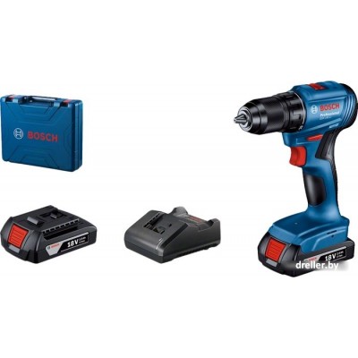 Bosch GSR 185-LI Professional 06019K3000 (с 2-мя АКБ, кейс) Bosch GSR 185-LI Professional 06019K3000 (с 2-мя АКБ, кейс)