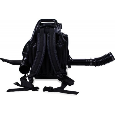 Champion GBR376 Champion GBR376