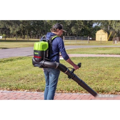 Greenworks GD82BP2 2408307 (без АКБ) Greenworks GD82BP2 2408307 (без АКБ)