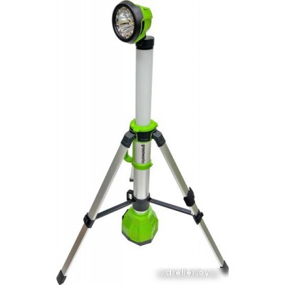 Greenworks GW G24WLS 2-1 3401107 (без АКБ) Greenworks GW G24WLS 2-1 3401107 (без АКБ)