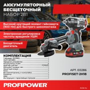 Profipower ProfiSet-2H20 E0286 (гайковерт, болгарка, 2 АКБ, кейс)