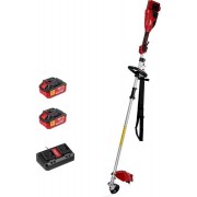 Триммер Wortex TB 3036-1 ALL1 XLT Set 1334872 (с 2-мя АКБ)